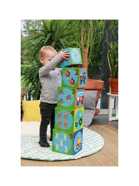 Scratch, Piramida edukacyjna Jumbo Farma