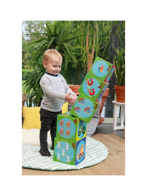 Scratch, Piramida edukacyjna Jumbo Farma