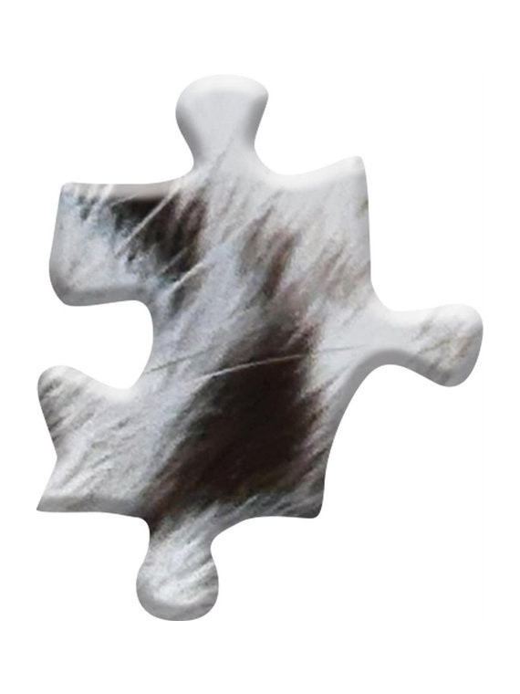 MADD CAPP,  Puzzle konturowe I AM - Biały Tygrys 300 elem.