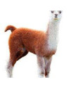 Puzzle konturowe dla dzieci - Madd Capp I Am Lil Llama 100 el