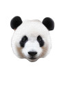 MADD CAPP,  Puzzle konturowe I AM - Panda 550 elem.