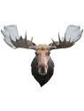 Puzzle konturowe dla dzieci - gra Madd Capp I Am Moose 700 el