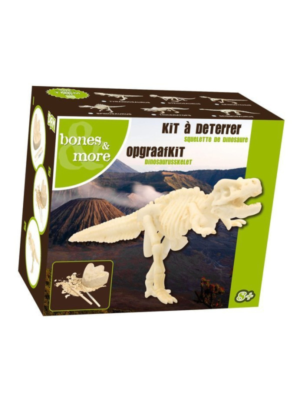 Bones&More, Duży szkielet dinozaura - wykopalisko odcisk łapy