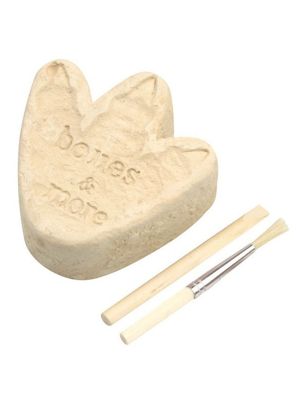 Bones&More, Duży szkielet dinozaura - wykopalisko odcisk łapy