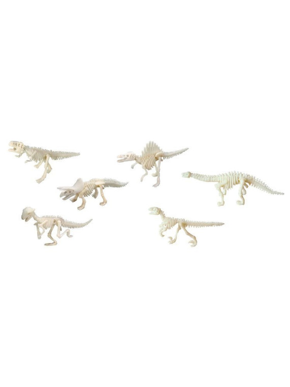 Bones&More, Duży szkielet dinozaura - wykopalisko odcisk łapy