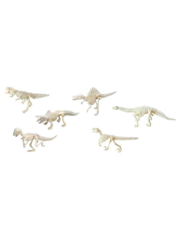 Bones&More, Duży szkielet dinozaura - wykopalisko odcisk łapy