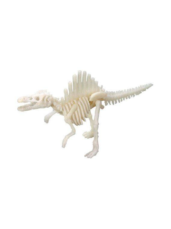 Bones&More, Duży szkielet dinozaura - wykopalisko odcisk łapy