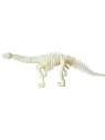 Bones&More, Duży szkielet dinozaura - wykopalisko odcisk łapy