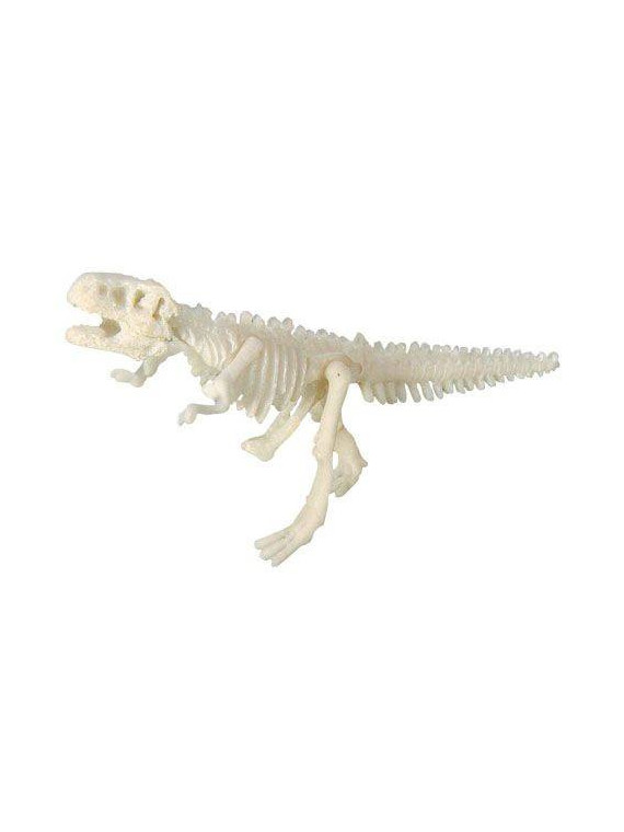 Bones&More, Duży szkielet dinozaura - wykopalisko odcisk łapy