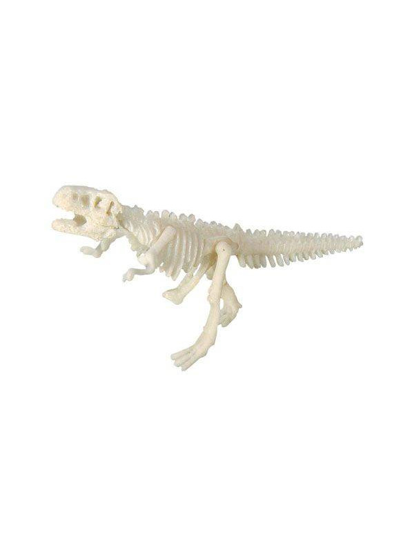 Bones&More, Duży szkielet dinozaura - wykopalisko odcisk łapy