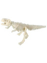 Bones&More, Duży szkielet dinozaura - wykopalisko odcisk łapy