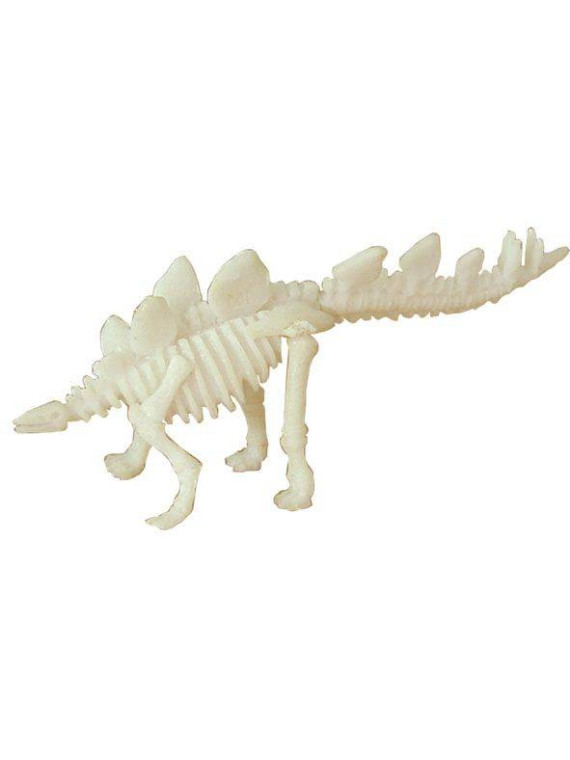 Bones&More, Duży szkielet dinozaura - wykopalisko odcisk łapy