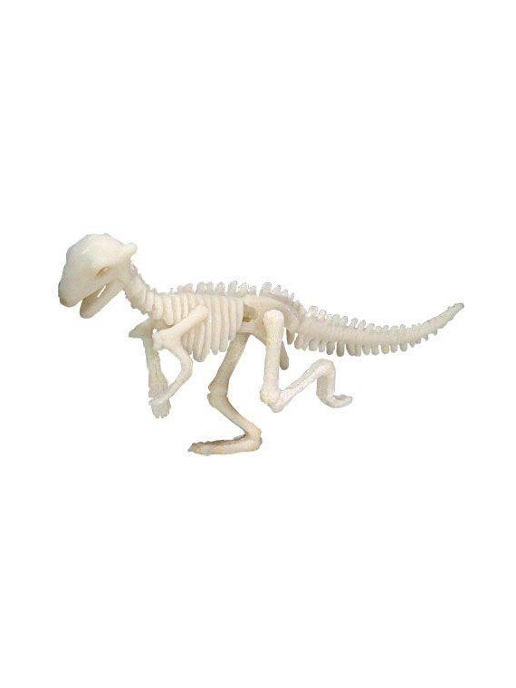 Bones&More, Duży szkielet dinozaura - wykopalisko odcisk łapy