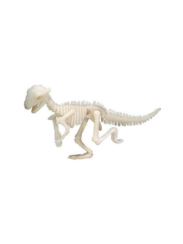 Bones&More, Duży szkielet dinozaura - wykopalisko odcisk łapy