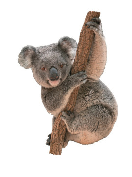 Puzzle konturowe dla dzieci - Madd Capp I Am Lil Koala 100 el