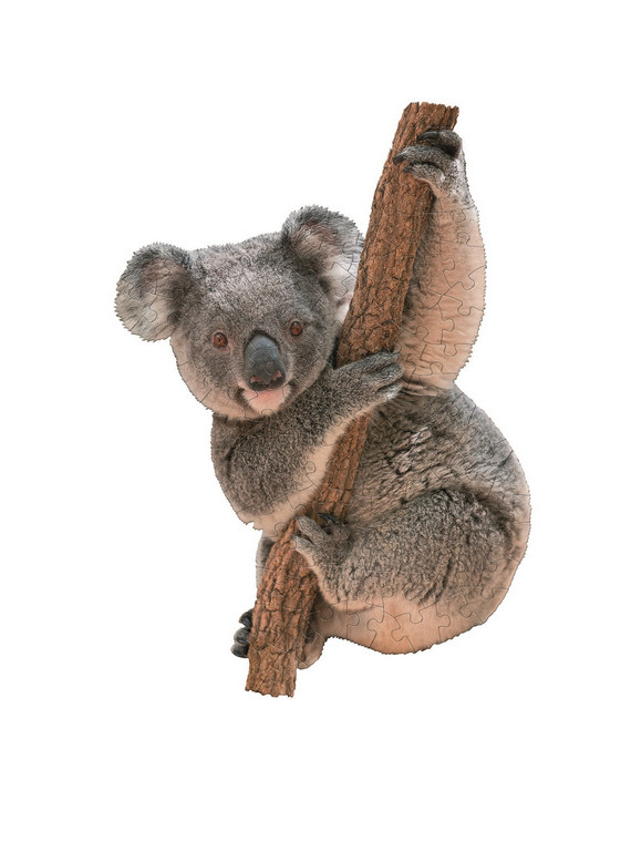 Puzzle konturowe dla dzieci - Madd Capp I Am Lil Koala 100 el