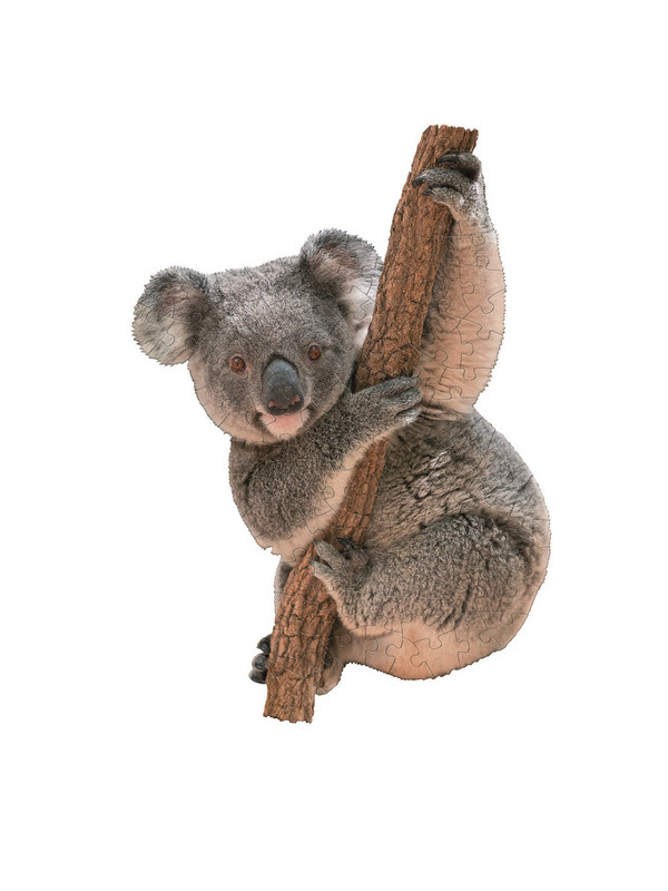 Puzzle konturowe dla dzieci - Madd Capp I Am Lil Koala 100 el