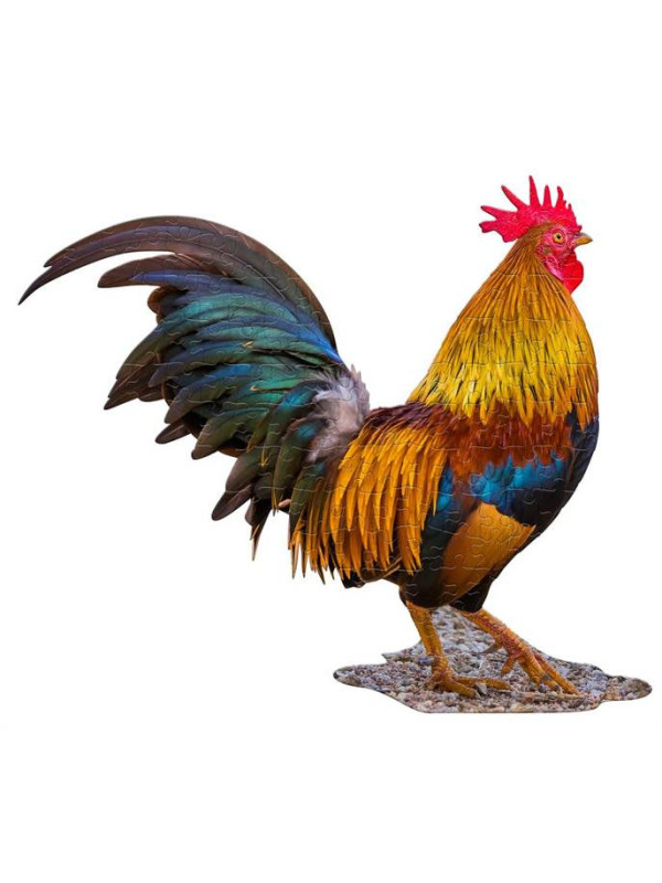 MADD CAPP,  Puzzle konturowe I AM Kogut - 100 elem.