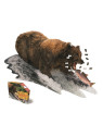 MADD CAPP,  Puzzle konturowe I AM - Grizzly 1000 elem.