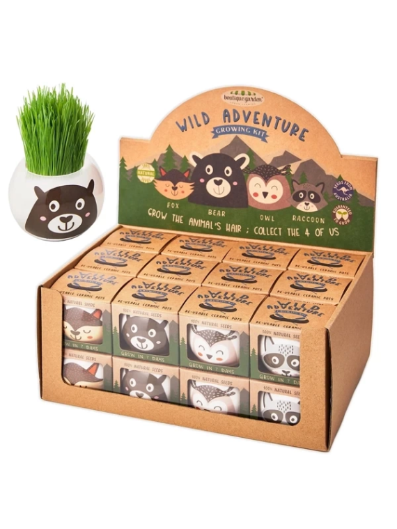 Eco hodowla trawy w doniczce Leśne zwierzątka - display 24 szt