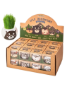 Eco hodowla trawy w doniczce Leśne zwierzątka - display 24 szt