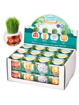 Eco hodowla trawy w doniczce Dzikie zwierzątka - display 24 szt