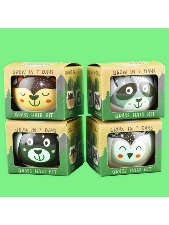 Eco hodowla trawy w doniczce Leśne zwierzątka - mix wzorów