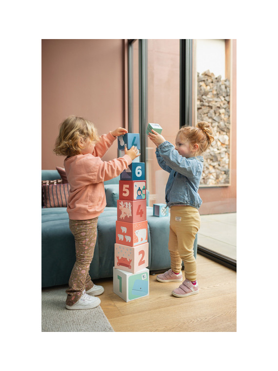 BS Toys, Piramida edukacyjna Zwierzęta Arktyki