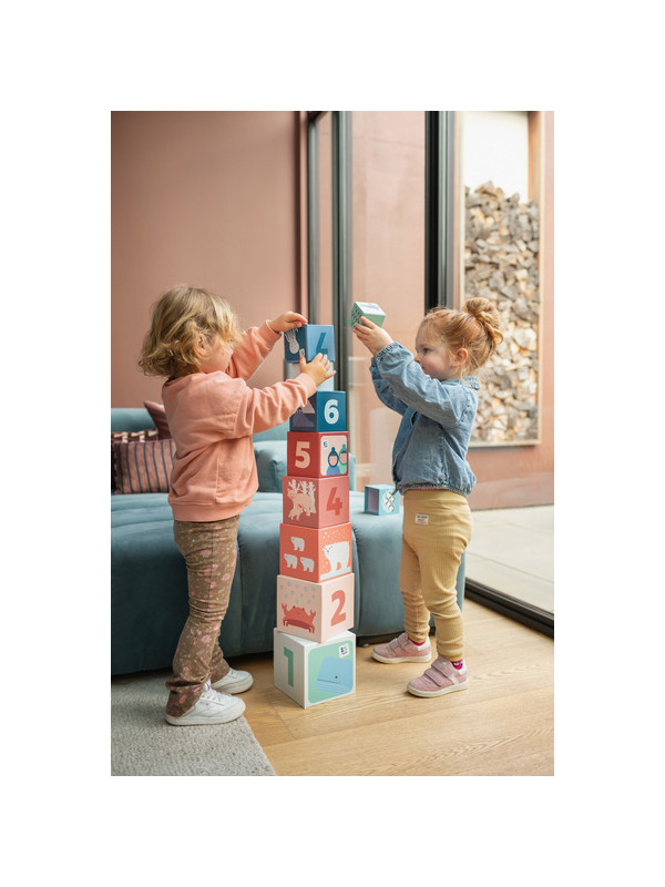 BS Toys, Piramida edukacyjna Zwierzęta Arktyki