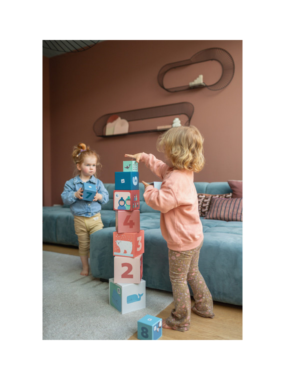 BS Toys, Piramida edukacyjna Zwierzęta Arktyki