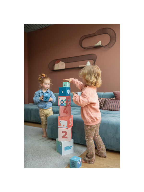 BS Toys, Piramida edukacyjna Zwierzęta Arktyki