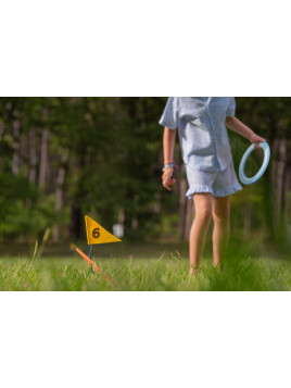 BS Toys, gra zręcznościowa Disc Golf