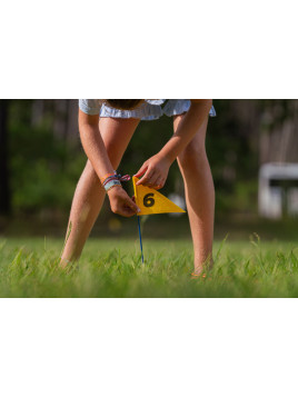 BS Toys, gra zręcznościowa Disc Golf