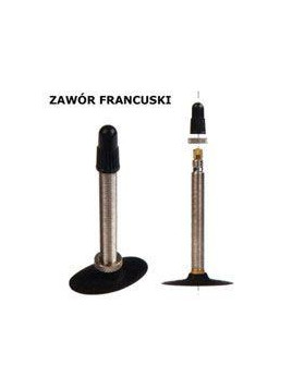 DĘTKA 29x2,25/2,50 FV 48MM DURO BOX