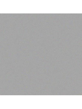 LAKIER SREBRNY CHAMPION 400ML RAL9006