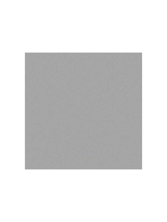 LAKIER SREBRNY CHAMPION 400ML RAL9006