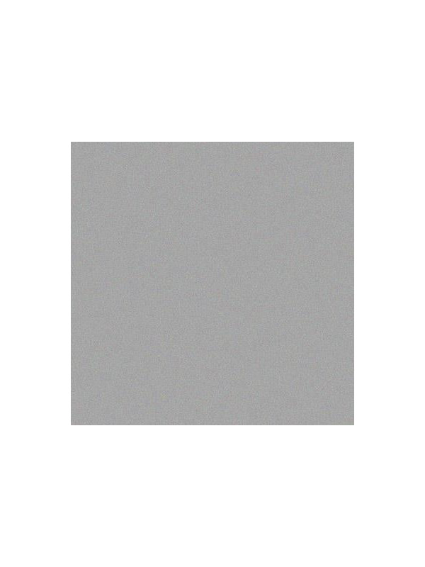 LAKIER SREBRNY CHAMPION 400ML RAL9006