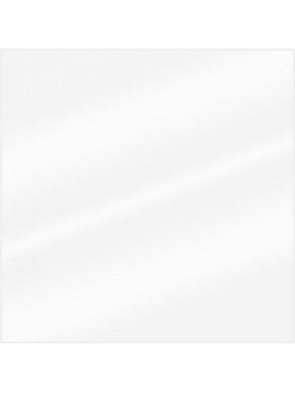 LAKIER CHAMPION BIAŁY POŁYSK 400ML RAL9003