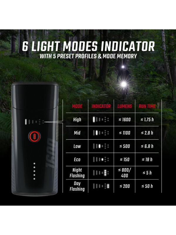 LAMPA P. SIGMA BUSTER 1600 FL 19730