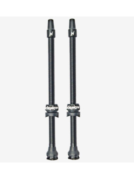 ZAWORKI BEZDĘTKOWE RIDENOW TUBELESS 110 MM FV