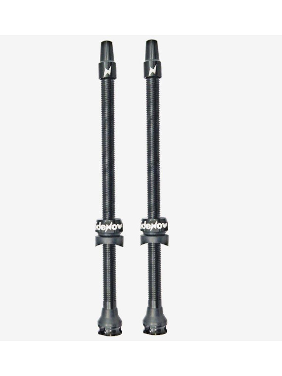 ZAWORKI BEZDĘTKOWE RIDENOW TUBELESS 110 MM FV