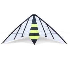 Latawiec Bee Didakites