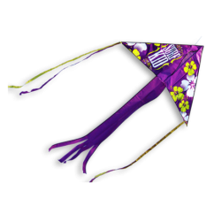 Latawiec Surf Kid Delta Didakites