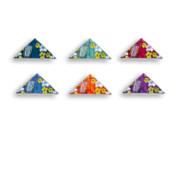 Latawiec Surf Kid Delta Didakites