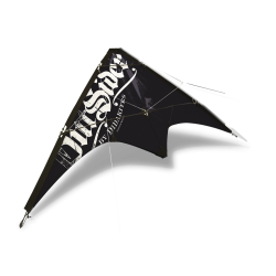 Latawiec Dwulinkowy outsider Didakites 8+